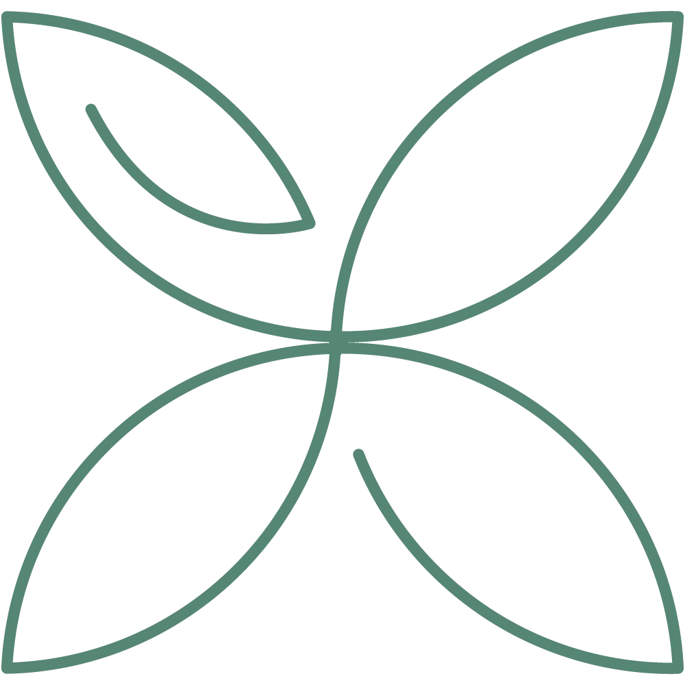 Holistic Healing icon