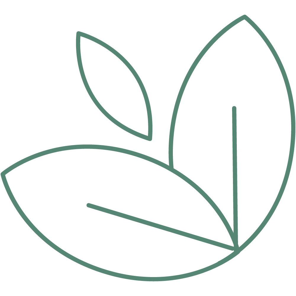 Patient-Centered Care icon
