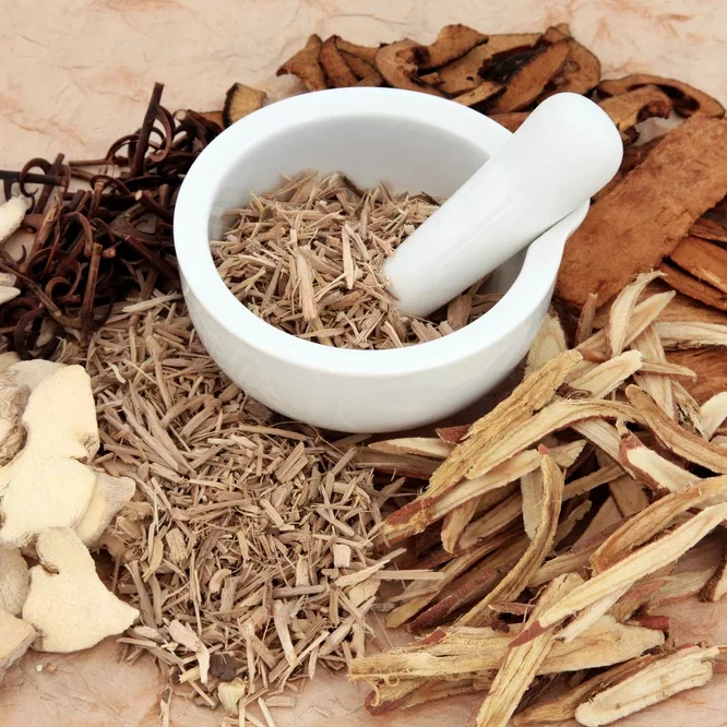 Alternative medicine St Petersburg, FL